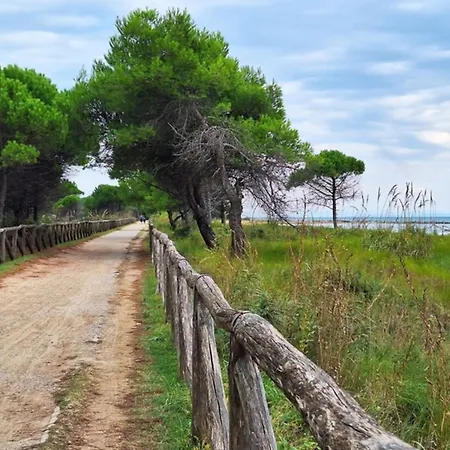 Quiet Charm Near The Villa *